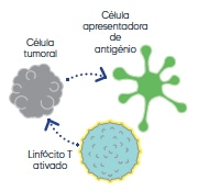 Imunoterapia - Tipos de tratamento