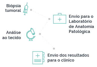 Imunoterapia - Determinção de Biomarcadores