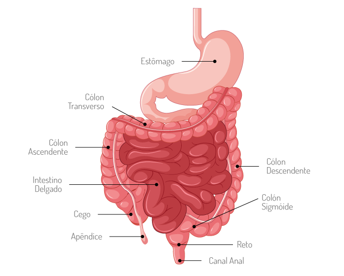 Cancro Colorretal